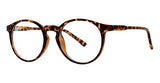 Accord -Glasses-Second Specs-Second Specs