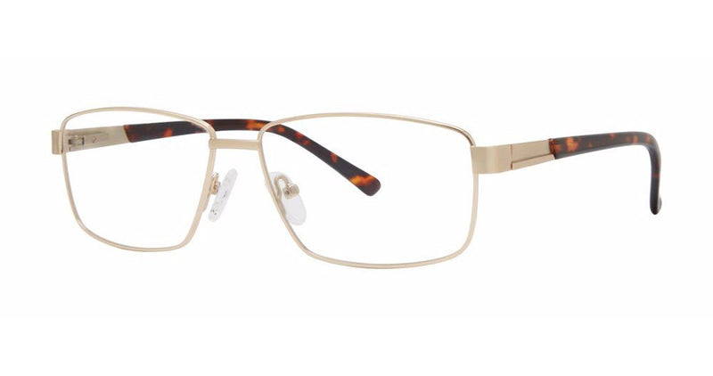 BIG Cat -Glasses-BMEC-Second Specs