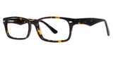 BIG Twist -Glasses-BMEC-Second Specs